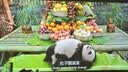 极米（XGIMI）Z6X 第五代 高亮版升级 700CVIA 投影仪家用 轻薄投影机1080P智能家庭影院 一体式云台 国家补贴 实拍图