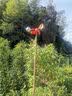 沐达生物太阳能语音驱鸟器果园赶鸟器农场户外风力全自动旋转可插地吓鸟器 实拍图