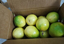 佳沛（zespri）新西兰阳光金奇异果10粒巨大果单果146-175g 猕猴桃水果礼盒 实拍图