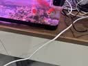 阔庭（KUOTING）鱼缸水族箱客厅桌面生态造景家用带灯制氧过滤鱼缸黑色【超大号】 实拍图