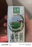 伊利【新鲜日期】金典纯牛奶整箱 200ml*24 3.6g乳蛋白 礼盒装 5月 实拍图