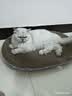 【京东物流】猫抓板磨爪猫窝一体耐磨不掉屑超大号猫玩具猫咪用品 椭圆巨无霸+猫薄荷 实拍图