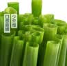 安心小台农芒果500g(单果70g起) 实拍图