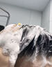 施华蔻（Schwarzkopf）新多效修护洗发水 损伤修护弱酸洗发露护发素 防毛躁柔顺男女通用 洗发水600ml+多效发膜180g 实拍图
