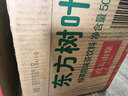 农夫山泉东方树叶绿茶500ml*15瓶无糖茶饮料0糖0脂0卡整箱装饮品 实拍图