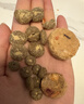 LEGENDSANDY蓝氏狗粮真鲜乳鸽中小型犬泰迪比熊生骨肉冻干鲜肉犬粮1.5kg3斤 实拍图