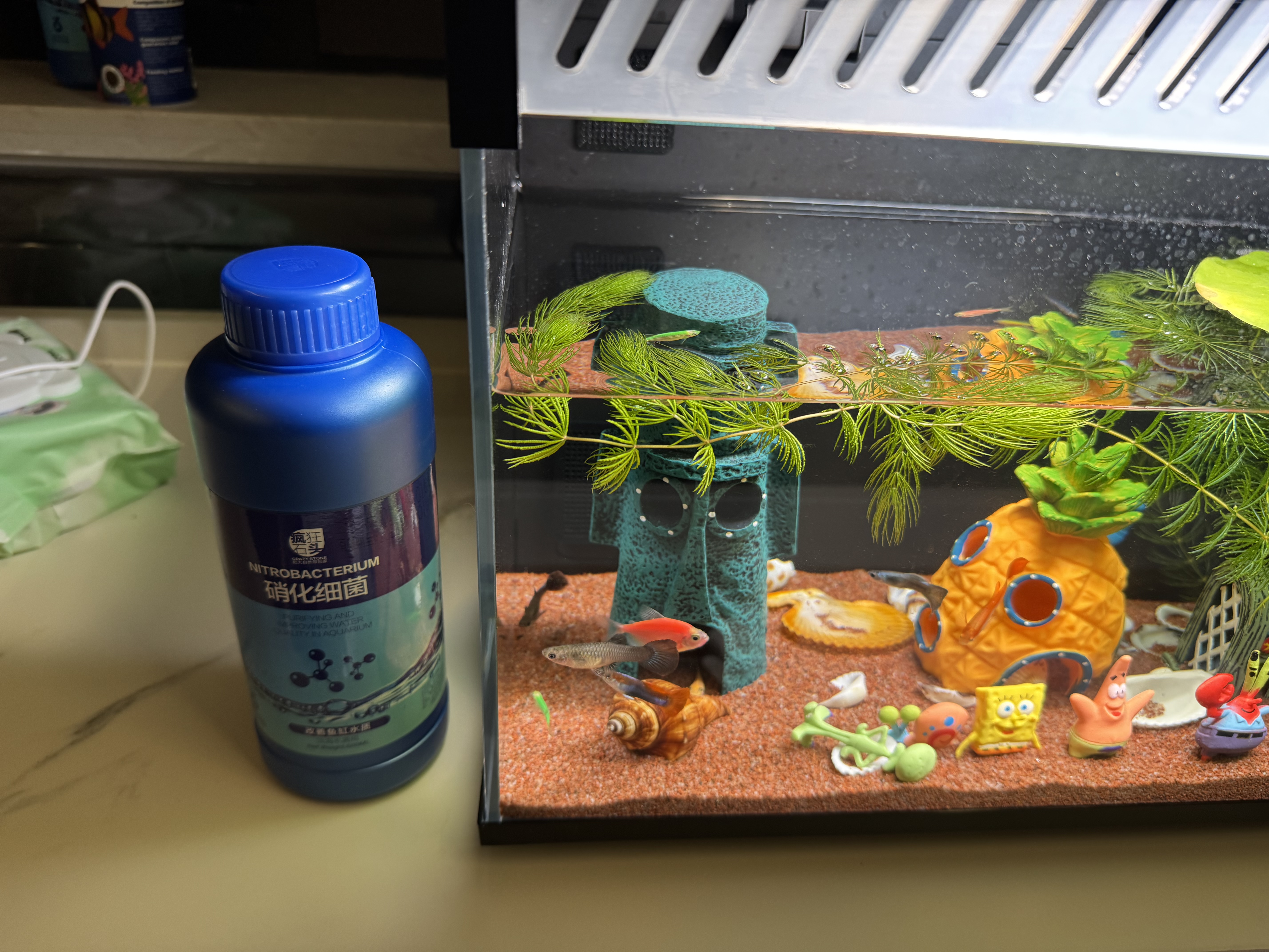 疯狂石头【硝化细菌+稳定剂+净水剂】各600ML消化细菌养鱼必备用品护理剂 实拍图