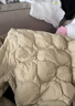 京东洗衣服务 衣鞋任洗2件 免费取送去渍整形价值2000元内运动鞋/衣服 实拍图