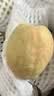 京鲜生 新疆库尔勒香梨8斤精品礼盒装 稀缺 单果140g+ 新鲜水果 实拍图