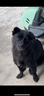 睿福祥土狗家狗通用型幼犬成犬冻干10斤装柯基泰迪金毛边牧中小型犬粮 【幼犬专用粮】5斤装全犬通用型 0lb 实拍图
