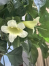 元气地带艾灸贴三伏热敷颈椎肩颈贴湿寒通用宫暖精油艾草发热贴礼物 6盒 实拍图
