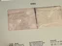 尼多熊女童内裤安全裤防走光宝宝平角内裤打底裤儿童四角短裤 实拍图