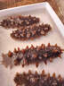 皇家麒麟 即食海参 即食大连刺参单个装辽刺参海参干货水产礼盒净含量500g 7A鲜食海参 8-12只/斤-家庭首选 一斤【尝鲜装】 实拍图