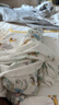 babycare婴儿安抚枕头宝宝多功能睡觉抱枕透气软糖枕0-6月星乐之城40*12CM 实拍图