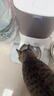 霍曼（Homerun）Real智能自动喂食器猫粮定时猫猫咪自动投食机PF20（不锈钢碗） 实拍图