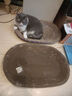 【京东快递】猫抓板磨爪猫窝椭圆形猫抓盆猫抓板巨大耐磨特大号 椭圆65cm巨无霸更大更宽【随机花边】 下单送猫薄荷 实拍图
