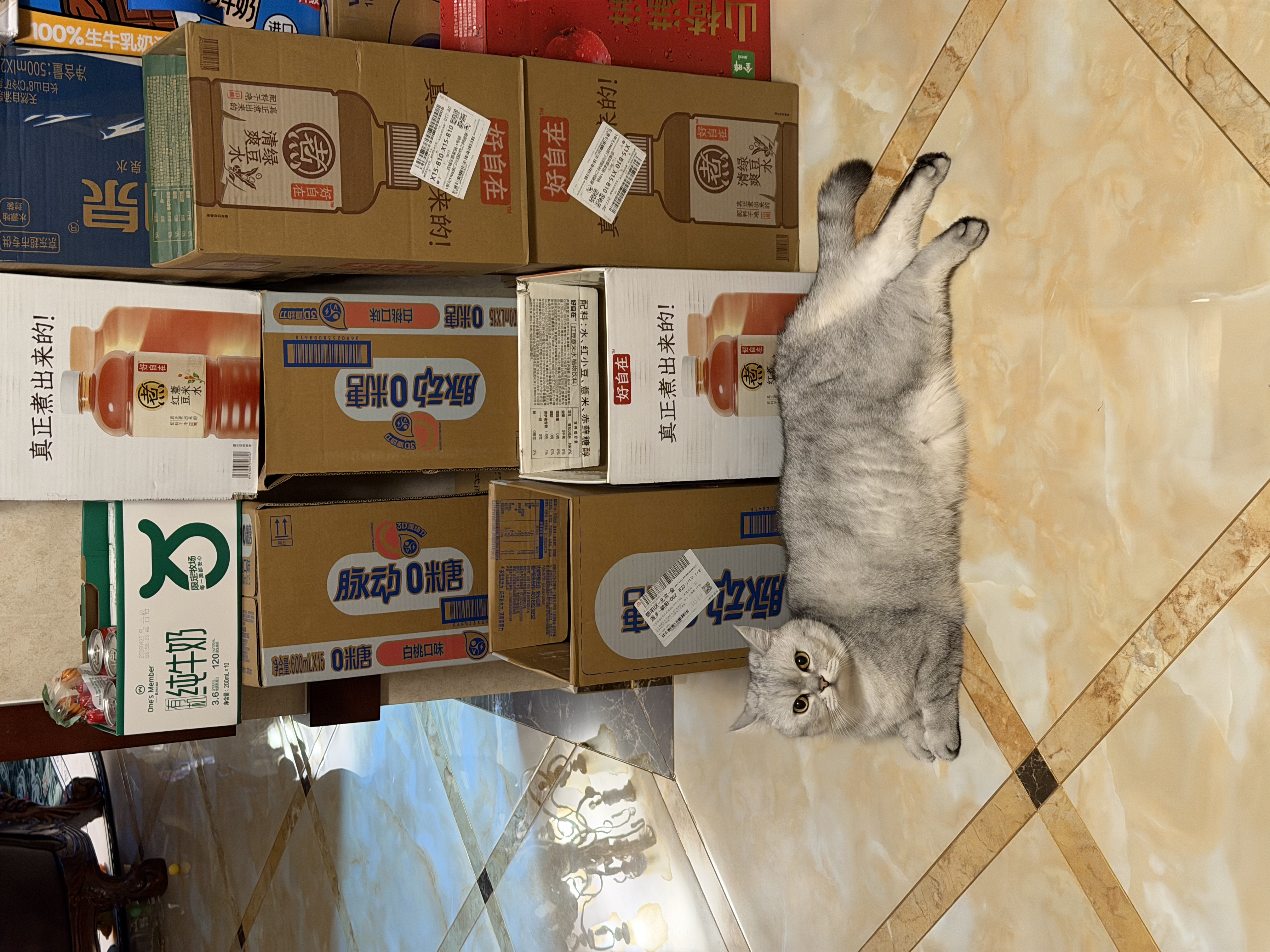 冠能狗粮成犬小型犬狗粮7kg 挑食美毛亮眼 全价狗粮  实拍图