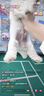 冠能狗粮小型犬幼犬狗粮1.8kg 全价狗粮 添加牛初乳 实拍图