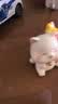 杞乐招财猫乔迁礼物入户玄关摆件客厅钥匙收纳置物架搬家新居礼品装饰 铃铛猫+置物架+相框+小摆件 实拍图
