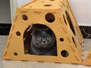instinct天然百利冻干双拼粮原食生鲜鸡肉全猫幼猫粮10磅/4.5kg 实拍图