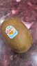 佳沛（zespri）新西兰阳光金奇异果巨大果22粒原箱单果146-175g 猕猴桃水果礼盒 实拍图