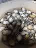 江船长冷冻无壳鲍鱼肉净重400g(40-50粒）火锅烧烤 活鲍加工 实拍图