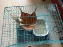 憨憨宠猫笼折叠猫笼子大号猫别墅加粗加密双层猫舍猫窝宠物猫咪用品家用 蓝色 700双层 实拍图