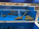 柏瑞美（PRAMY）定妆喷雾黑瓶100ml持久定妆控油防水防汗保湿节日礼物 实拍图