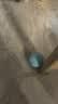 HELLOJOY猫玩具自动逗猫玩具球自嗨解闷神器电动逗猫棒磨牙幼猫猫咪玩具 实拍图
