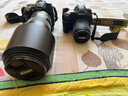 尼康（Nikon）D850江苏广东上海吉林广西地址85折全画幅单反相机 约4,575万有效像素 翻折触摸屏 8K间隔拍摄 实拍图