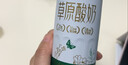 伊利【新鲜日期】草原酸奶巴氏杀菌原味酸奶230g*10瓶/箱 礼盒装 实拍图