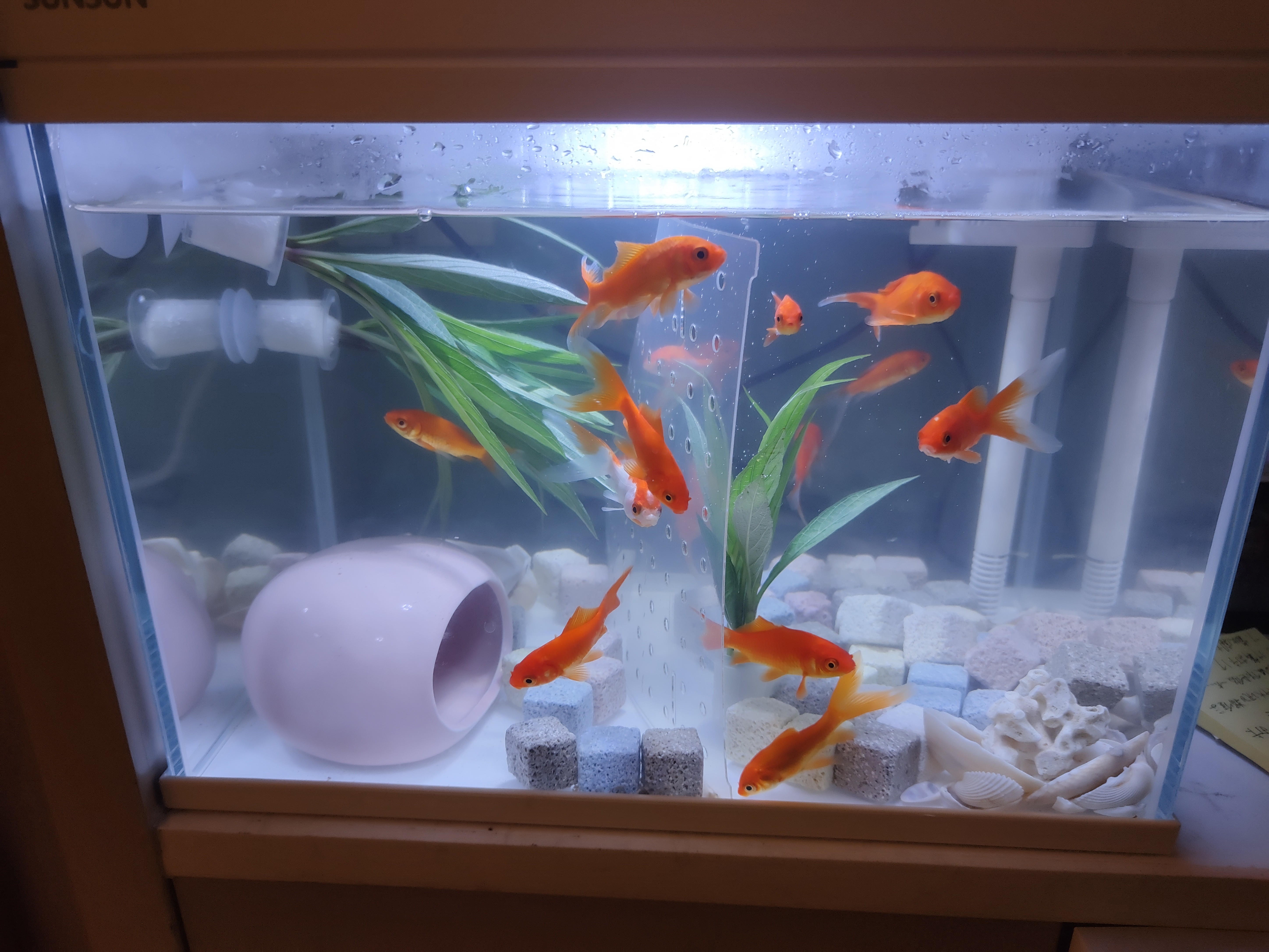 森森超白鱼缸一体缸自循环家用办公室桌面小型水族箱HEJ-380 实拍图