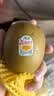 佳沛（zespri）新西兰阳光金奇异果 8个装 特大果单果重约124-146g 水果猕猴桃 实拍图