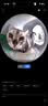 小佩智能全自动猫砂盆可视猫厕所MAX PRO2电动铲屎一键换砂开放式隔臭 实拍图