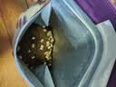 网易严选全价冻干双拼猫粮3.0 猫干粮成猫幼猫通用高鲜肉粮 自营金选1.8kg 实拍图