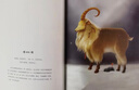 山海经插图珍藏版高品质精装 版权输出英文 韩文 泰文 俄文版 新华荐书年度十大好书 新时代全球推广中国智慧 实拍图