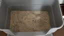 pidan猫砂 豆腐猫砂2.4kg*4包强力吸臭纯猫砂 可冲厕所非膨润土砂 实拍图