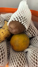 佳沛（zespri）新西兰阳光金奇异果18粒礼盒优选果单果103-124g 猕猴桃水果礼盒 实拍图