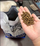 卫仕深海美毛爆爆袋 猫干粮 成猫幼猫全阶段冻干注心鲜肉猫粮6.18kg 实拍图