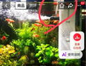 阔庭（KUOTING）鱼缸水族箱客厅桌面生态透明造景家用带灯懒人制氧过滤金鱼缸白色 实拍图