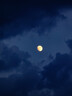 vivoX300 Ultra ZEISS 增距镜G2 Ultra 镜头套装  400mm镜头+手机壳 实拍图