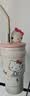 三丽鸥（SANRIO）HelloKitty冰霸公仔保温锁冷杯316不锈钢带吸管送女七夕礼物700ml 实拍图