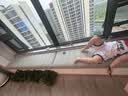能见度VISIBL榻榻米床垫定制定做婴儿童天然椰棕乳胶黄麻炕折叠拆洗榈硬 【定制任意尺寸·厚度·咨询客服】5cm婴儿棉+黄麻金棕 【咨询·抢20%国家补贴+领天丝被】领样尺寸：1米*1米 实拍图