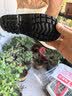 熊火儿童下水裤户外玩水服捉鱼赶海半身涉水裤背带连体鞋防水沙滩 卡其色儿童款 30 实拍图