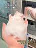 初蔓氨基酸洗面奶男女士控油祛痘除螨虫去黑头深层清洁收缩毛孔洁面乳 【控油净毛孔】B5洁面乳*1支 明星推荐B5洗面奶热销榜TOP 实拍图