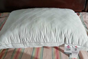 洁丽雅（Grace）纤维枕星级酒店枕头枕芯46*72cm一对装（2只装） 实拍图