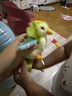 jollybaby小鸟飞飞溜溜圈儿童手环啪啪圈宝宝安抚音乐讲故事玩具-啄木鸟 实拍图