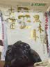 十月稻田 东北黑木耳 500g 干木耳 黑龙江东宁特产 肉厚无根 火锅煲汤炒菜 实拍图