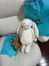 Jellycat害羞乳白色邦尼兔动物毛绒玩偶安抚玩偶娃娃送礼生日礼物 害羞乳白色邦尼兔 Medium 实拍图