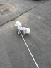 憨憨宠狗绳 狗链牵引绳胸背带套装自动伸缩遛狗绳子中小型犬宠物用品 青灰色款狗链胸背带两件套 大号5米 胸背S号建议体重8-12斤 实拍图